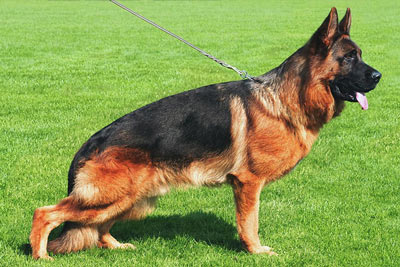 Lasso vom Grafenbrunn Lasso vom Grafenbrunn