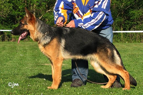 Amelie vom Bösendörfl