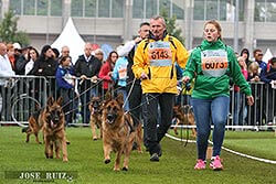 Präsentation im Ring Präsentation im Ring