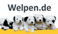 Welpen.de